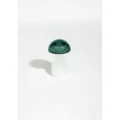 Baromètre Storm glass champignon vert
