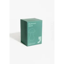 Baromètre Storm glass champignon vert