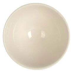 Bol en faïence groseilles 75cl - Collection