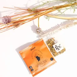 Boîte de 12 sachets d'infusion rituel Je réveille mon audace