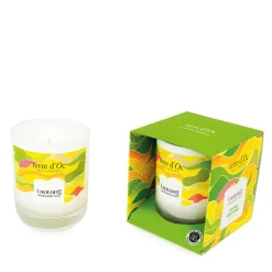 Bougie parfumée Mandarine Yuzu - Laotong