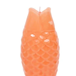 Bougie poisson corail 20h - Bord De Mer