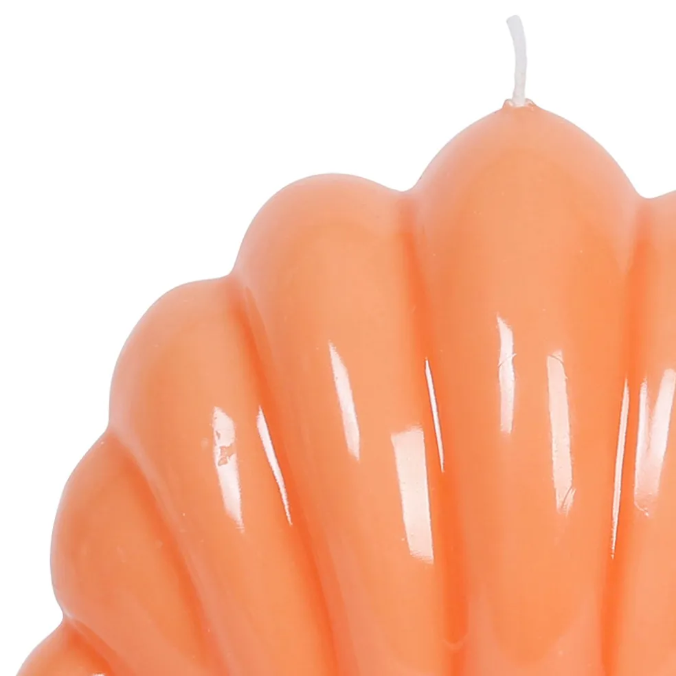 Bougie Saint-Jacques corail 10h - Bord De Mer