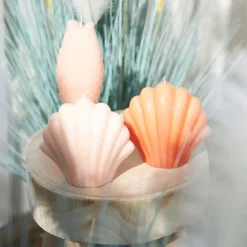 Bougie Saint-Jacques nude 10h - Bord De Mer