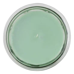 Bougie sous le figuier vert 220g