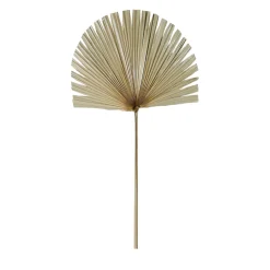 Branchage palmier naturel 50xh96cm feuille de palmier