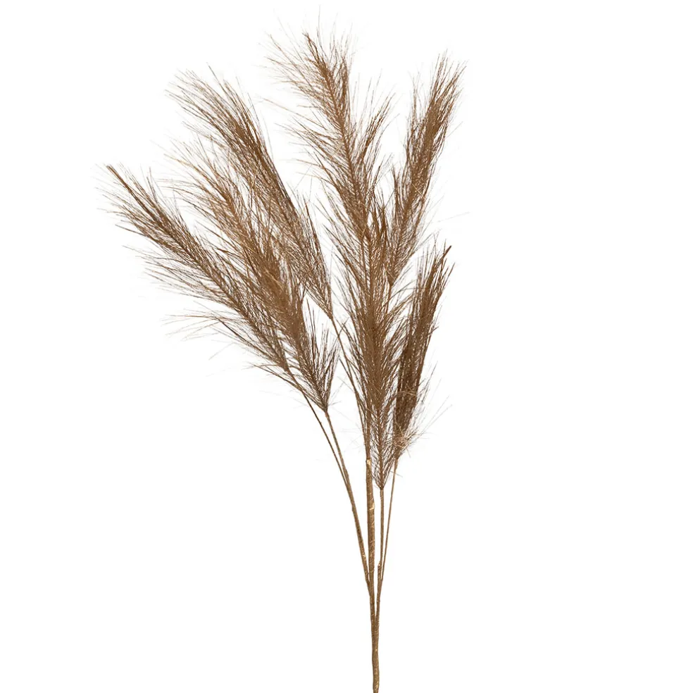 Branchage pampa doré h75cm - Pampa