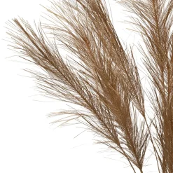 Branchage pampa doré h75cm - Pampa