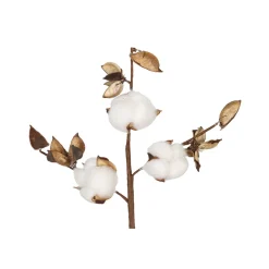 Branche de coton blanc