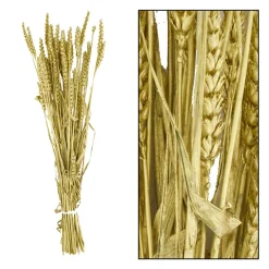 Branche triticum doré h70cm
