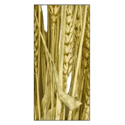 Branche triticum doré h70cm