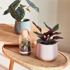 Cache pot en céramique taupe d13.5cm