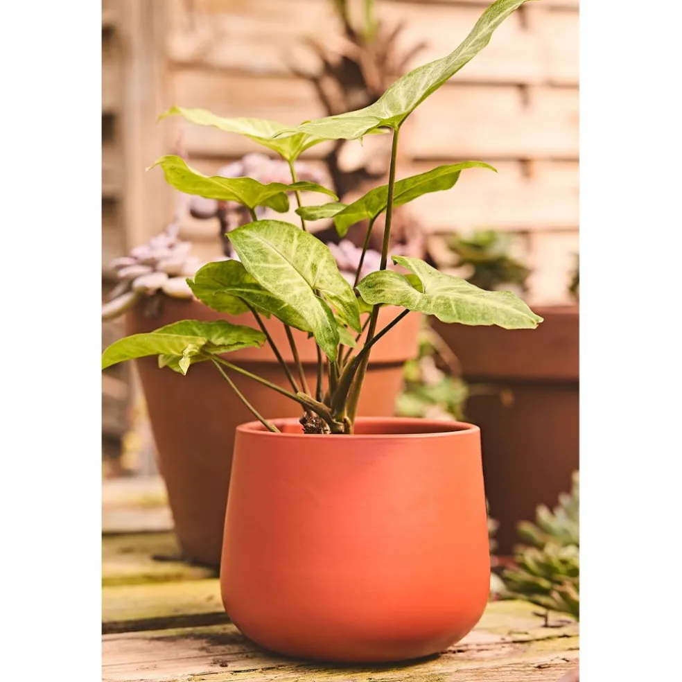 Cache pot en céramique terracotta d13.5cm