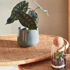 Cache pot en céramique vert d13.5cm