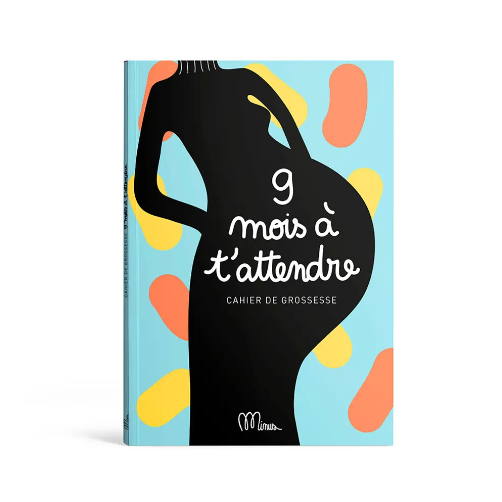 Cahier de grossesse 9 mois à t’attendre