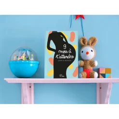 Cahier de grossesse 9 mois à t’attendre