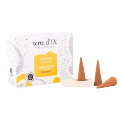 Coffret 10 cônes d'encens citronnelle avec porte encens