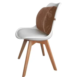 Coussin à mémoire de forme pour le dos marron