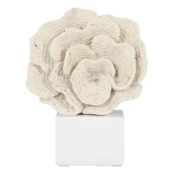 Déco corail sable h22,5cm - Ostrea