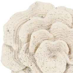 Déco corail sable h22,5cm - Ostrea