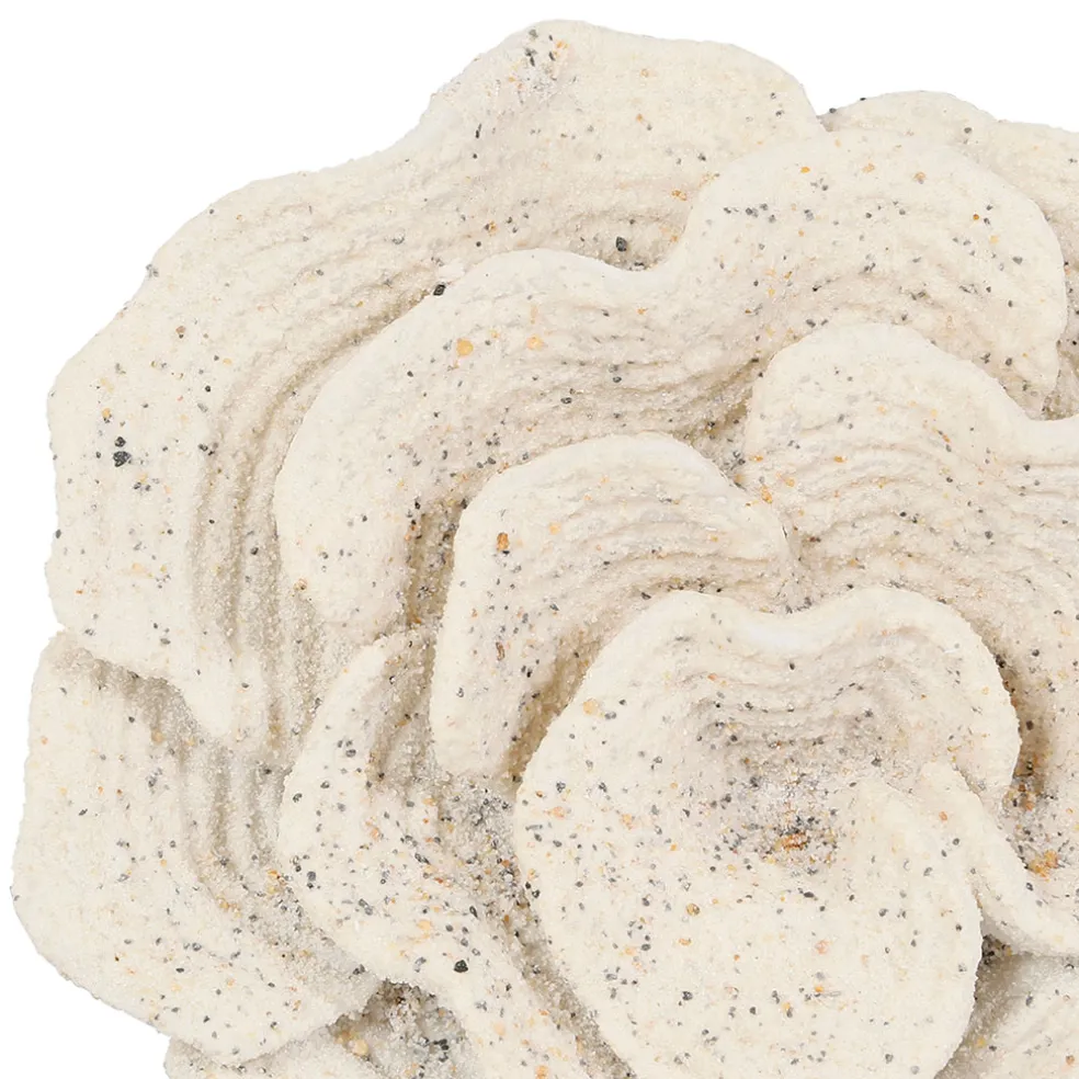 Déco corail sable h22,5cm - Ostrea