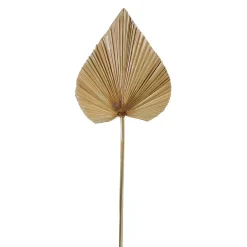 Feuille de palmier naturel h62cm - Golden
