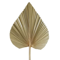 Feuille de palmier naturel h62cm - Golden