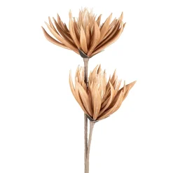 Fleur artificielle brun h97cm - Fleur