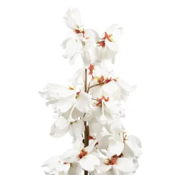 Fleur okinawa blanc h100cm