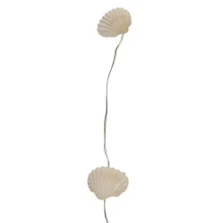 Guirlande avec led coquillage naturel l130cm