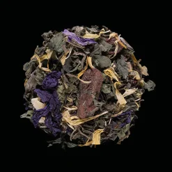 Infusion bien être booster bio 14 sachets infusettes