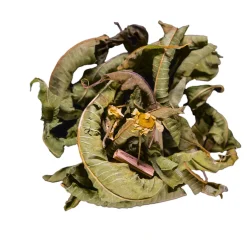 Infusion menthe fraiche menthe verveine bio - 30g