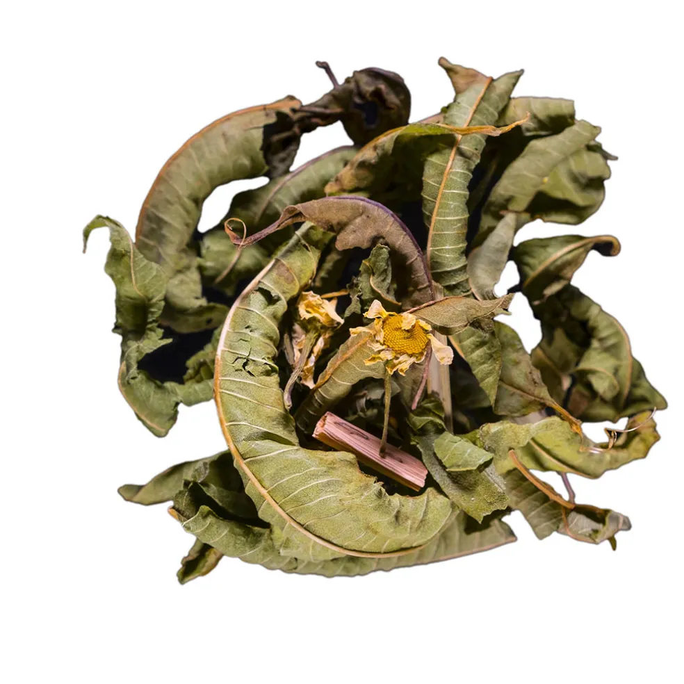 Infusion menthe fraiche menthe verveine bio - 30g