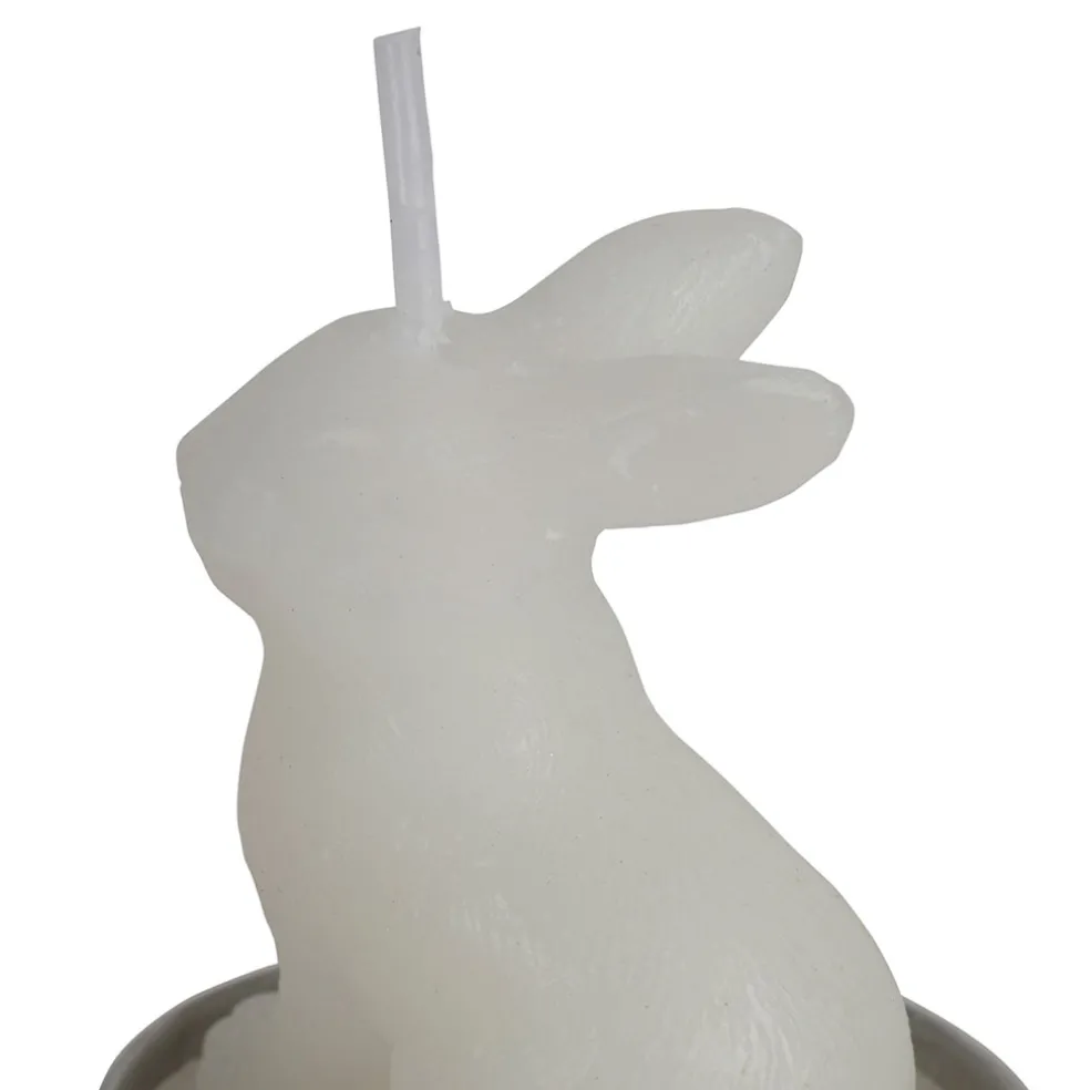 Lot de 6 bougies lapin blanc 2h - Floreal