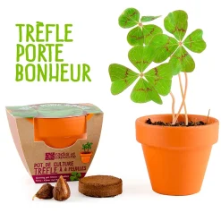 Mini kit d6cm terre cuite trèfle 4 feuilles