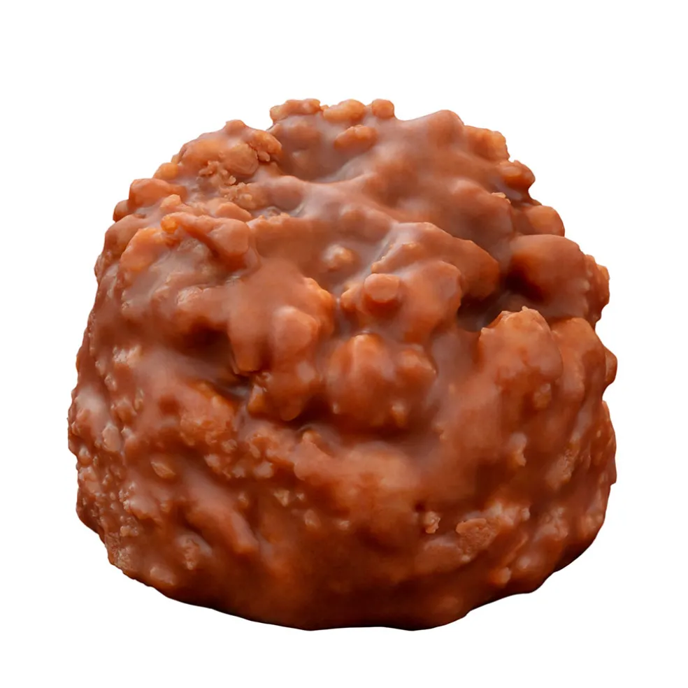 Petit croc' lait petit beurre 53g