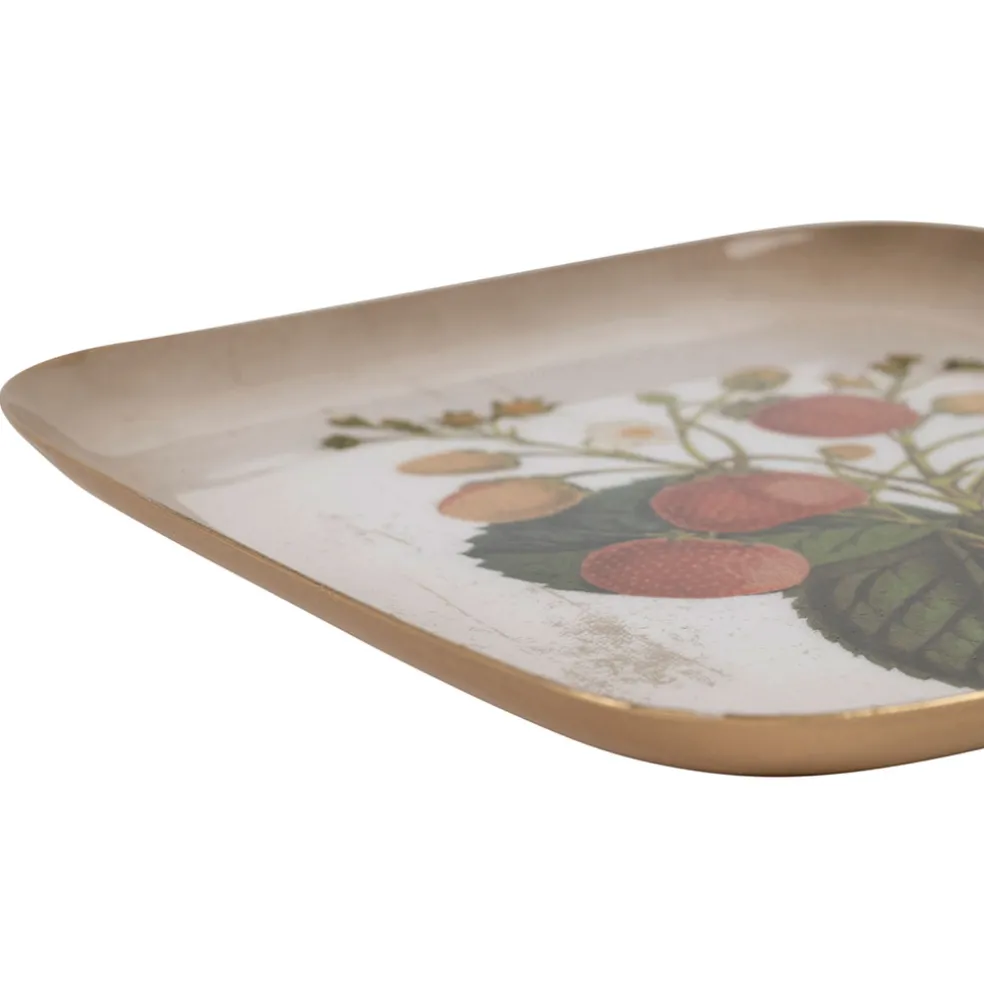 Plateau fraisier en fer multicolore 16x16cm - Botanique