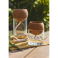 Pot auto arrosant en verre transparent d10xh21cm