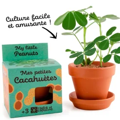 Pot d8cm avec coupelle cacahuète