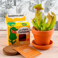 Pot d8cm avec coupelle plantes carnivores