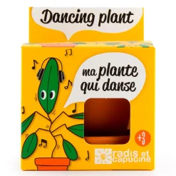 Pot d8cm avec coupelle plante qui danse