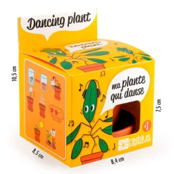 Pot d8cm avec coupelle plante qui danse