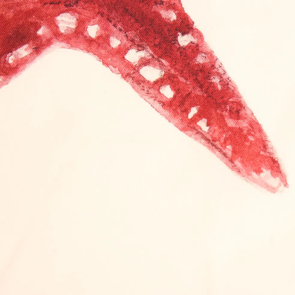 Set de 5 torchons crustace en coton