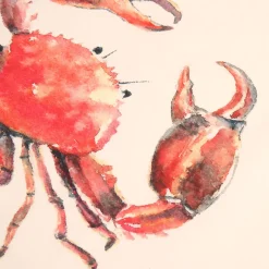 Set de 5 torchons crustace en coton