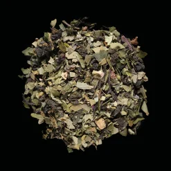 Thé bien-être Fresh detox bio 14 sachets infusettes