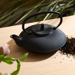 Théière en fonte noir avec filtre inox 75cl - Brin