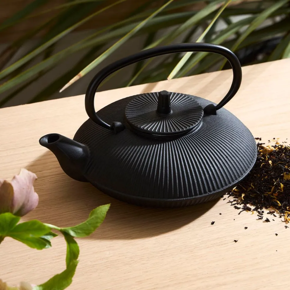 Théière en fonte noir avec filtre inox 75cl - Brin