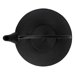 Théière en fonte noir avec filtre inox 75cl - Brin