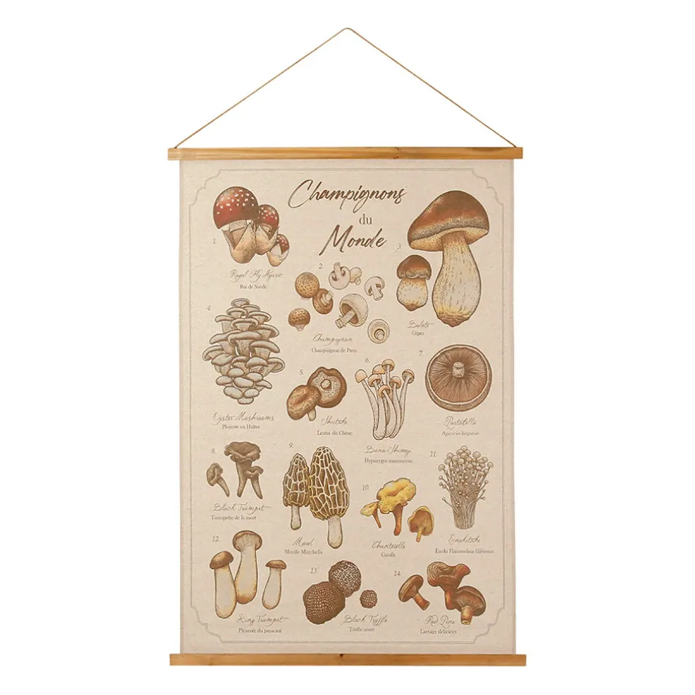 Toile "encyclopédie champignon" 77x110cm