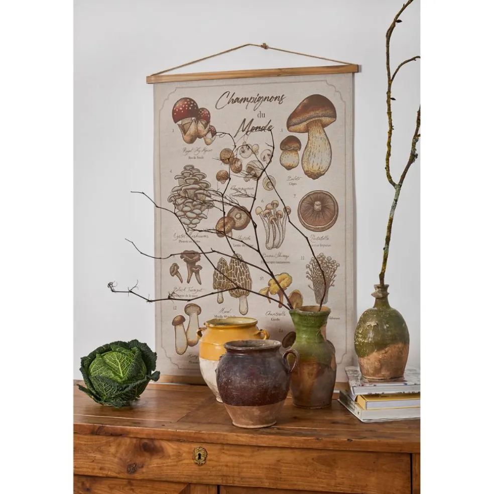 Toile "encyclopédie champignon" 77x110cm